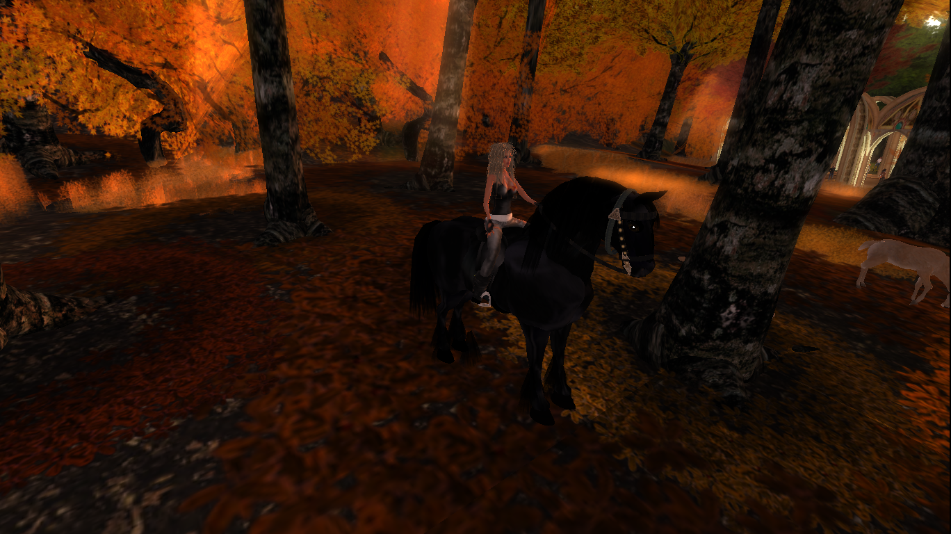 Original 54ac2f62128cc905f8000001