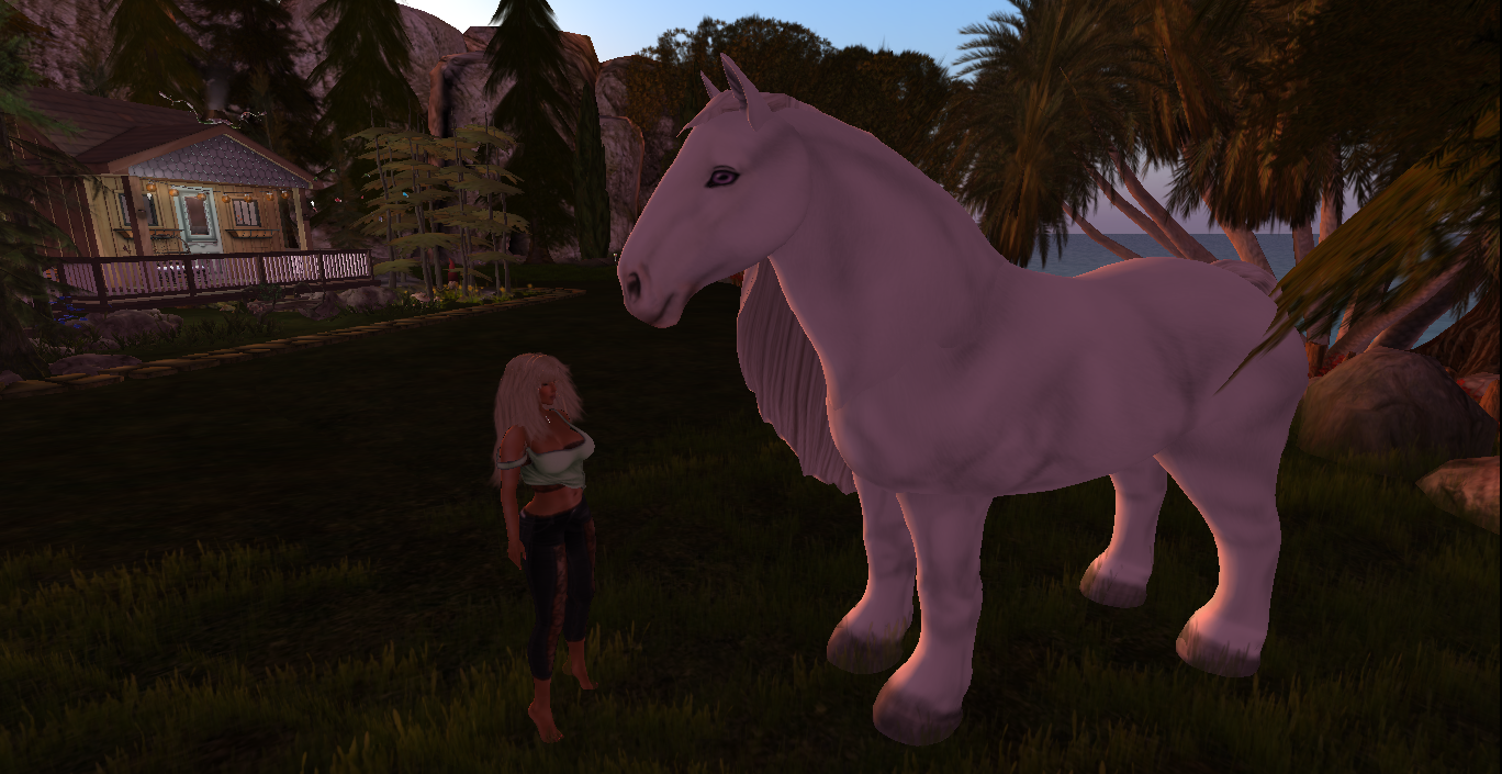 Original 58d9c7a7d9859c31de000001