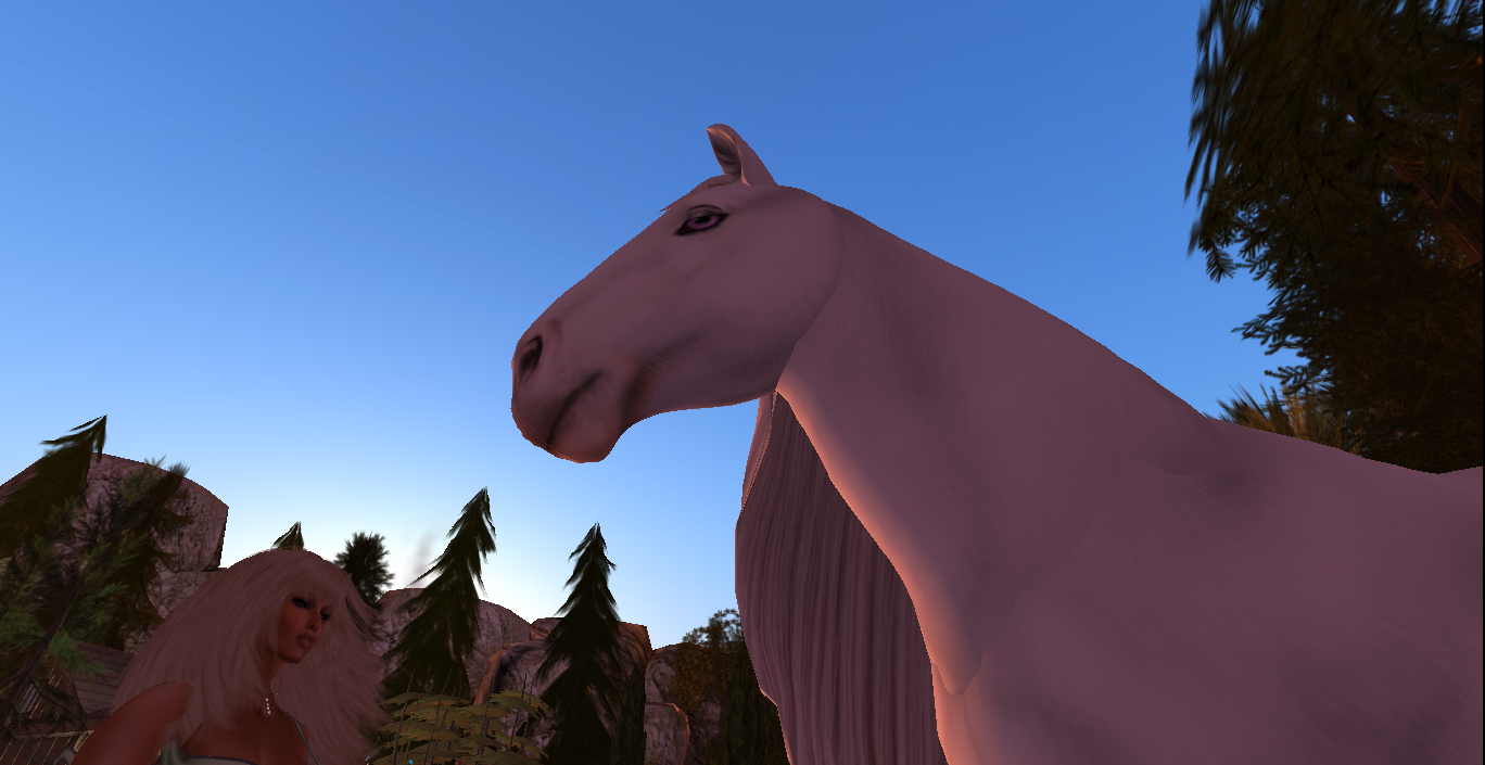 Original 58d9c7dad774f865b8000001