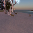 Thumb 548180828da572476e000001