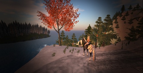 Web 549413a1f8a1ec443b000001