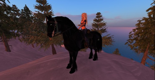 Web 54b705b3f8a1ec504d000001