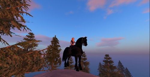 Web 54b705f8f8a1ec53fd000001