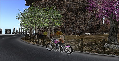 Web 58bdefcab015405eb6000001