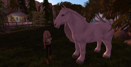 Web 58d9c7a7d9859c31de000001