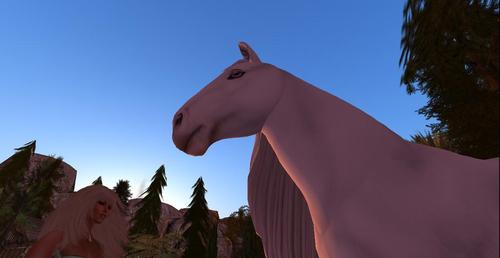 Web 58d9c7dad774f865b8000001