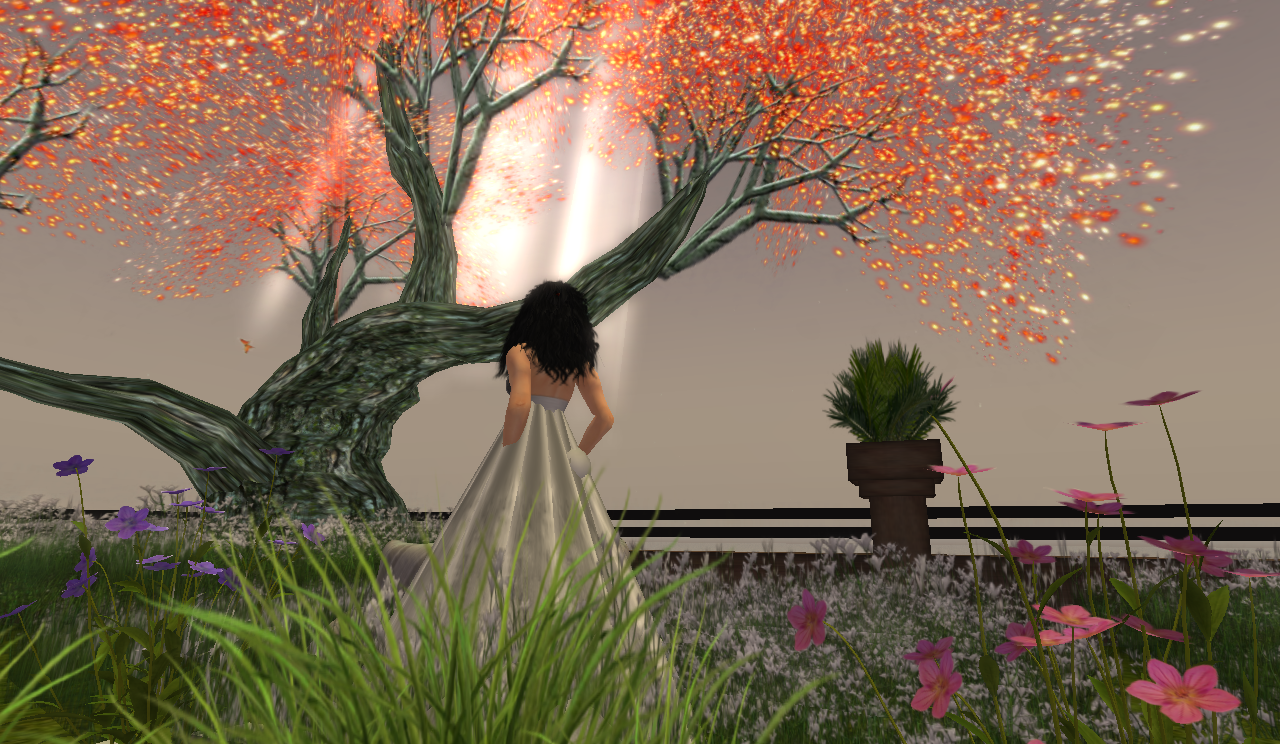 Original 59b565b573ed177245000001