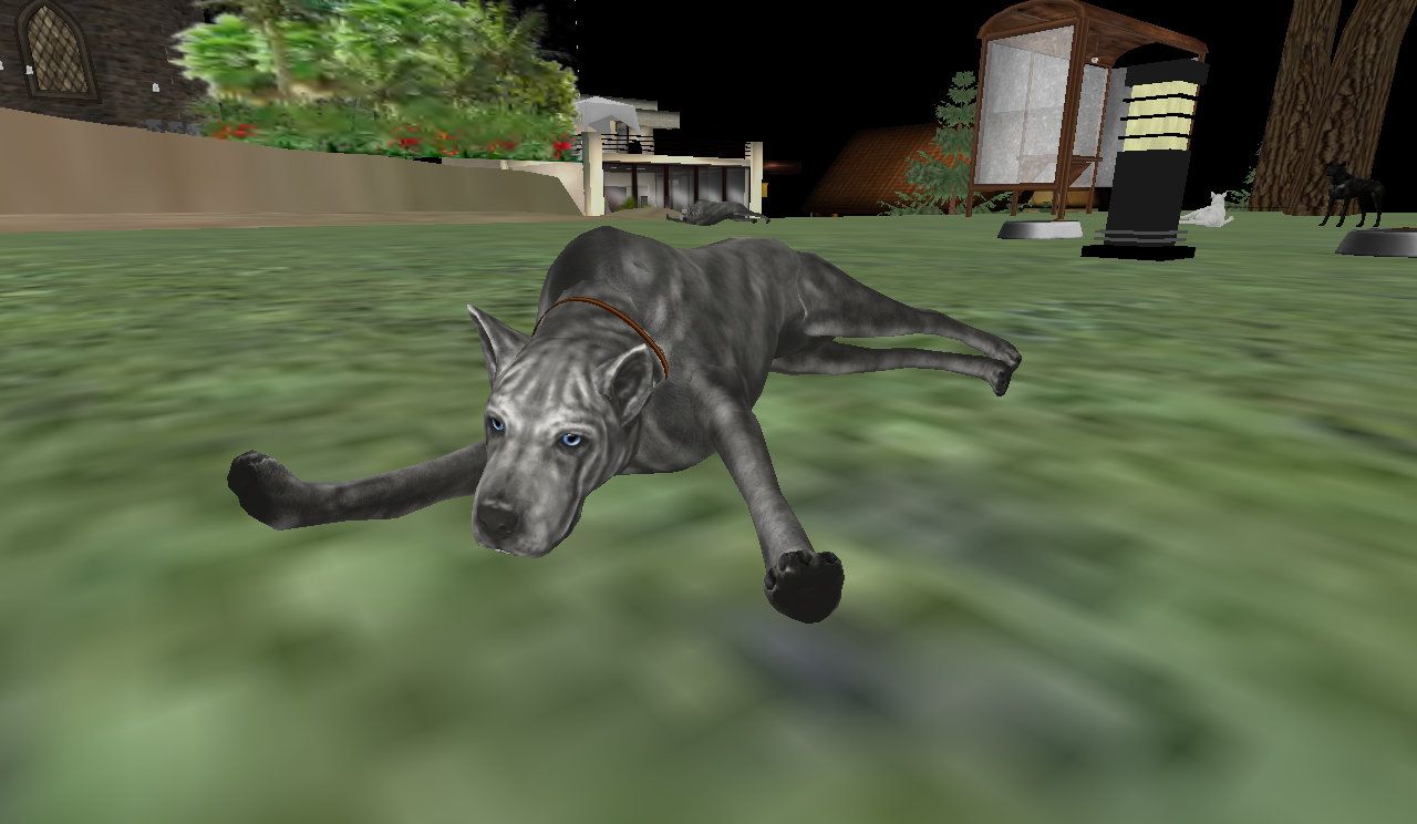 Original 59b8a272289dd220fb000001