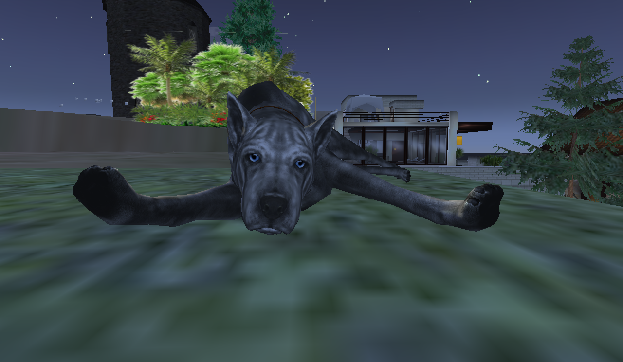 Original 59bd1dec73ed1723a1000001