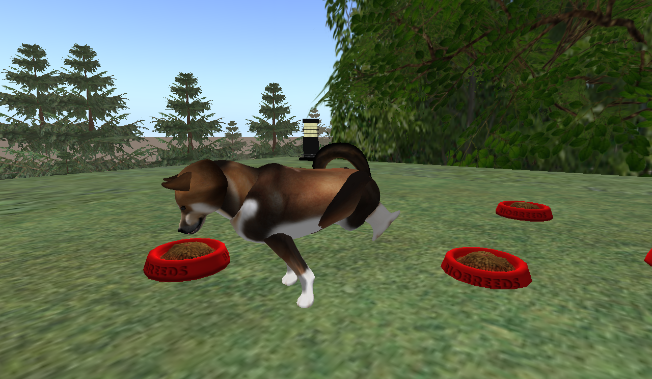 Original 59bf6938d9859c1e0d000001