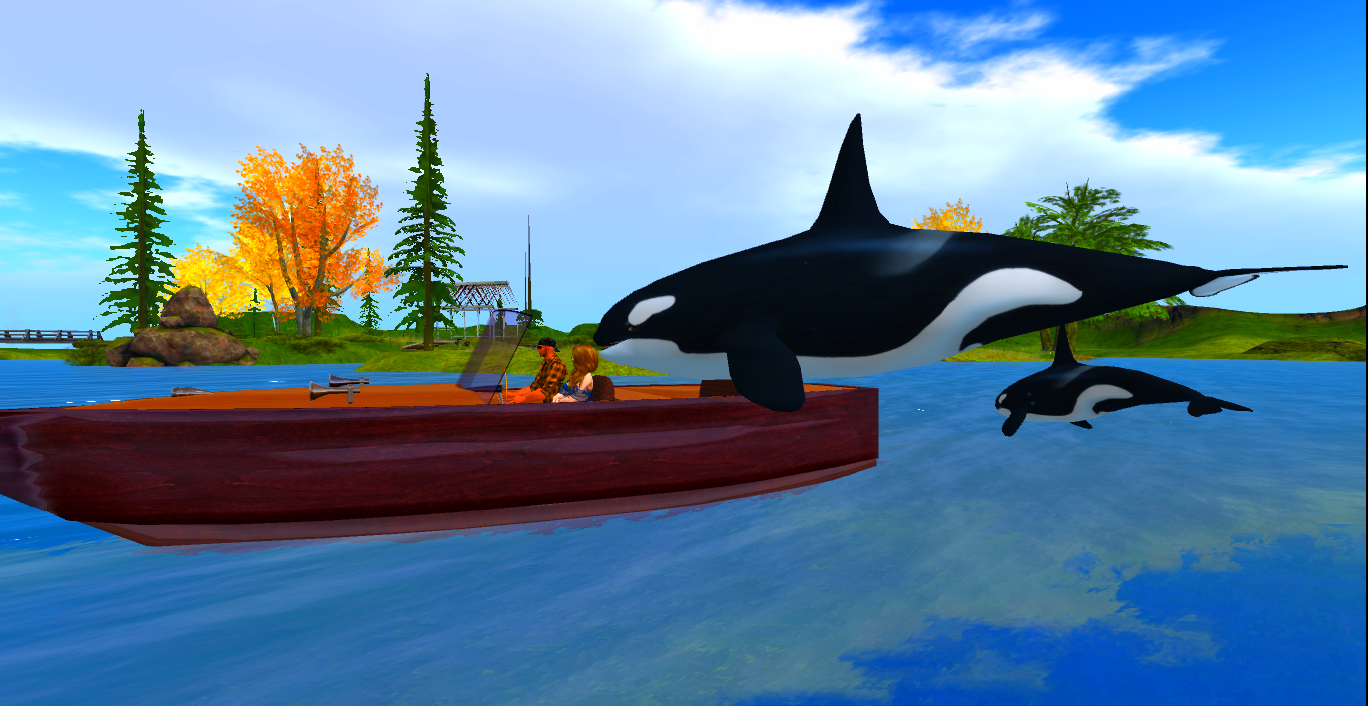 Original 5bf6b22373ed171e02000001