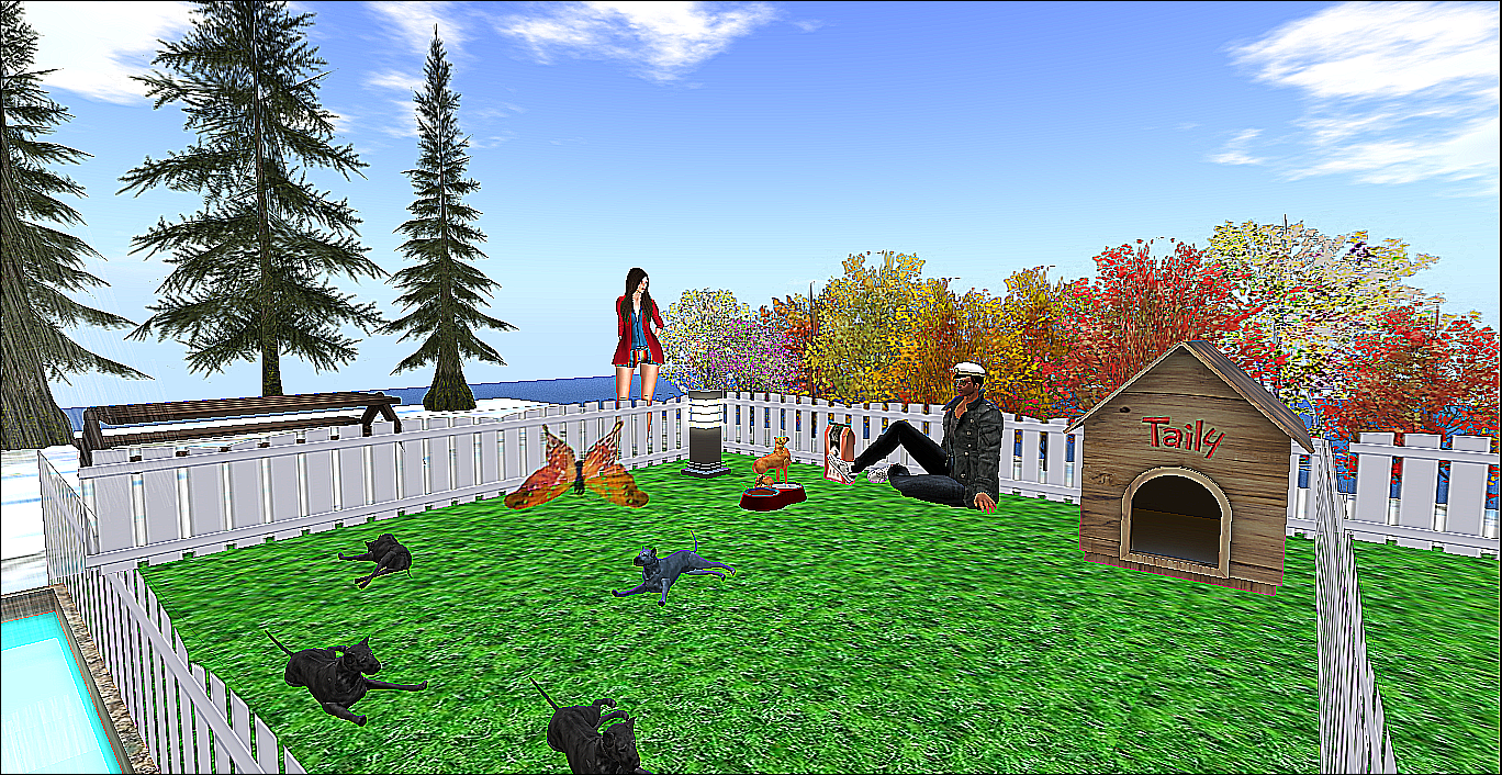 Original 5c4357e073ed17093c000001