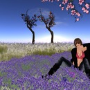 Thumb 5264f15b3b695111b5000001