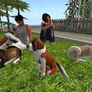 Thumb 5b09542cd9859c6c11000001