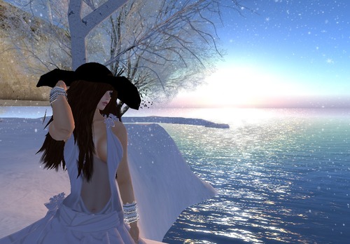 Web 52f8c0958da572393c000001