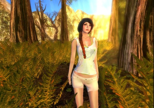 Web 5321c72fa73e2144ec000001