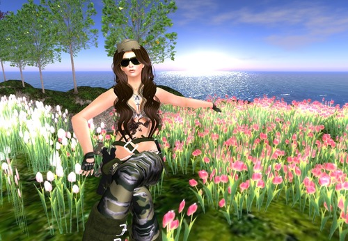 Web 5374d0bb8da5727fa3000001