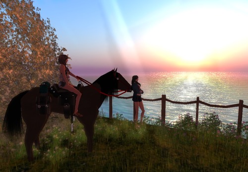 Web 538c9422a73e21454b000001