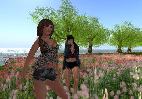 Web 538c95ddf8a1ec673b000001