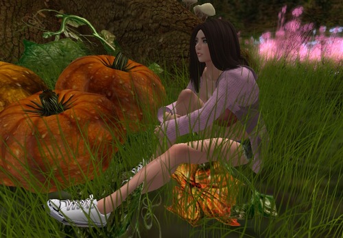 Web 538dce30128cc96f2b000001