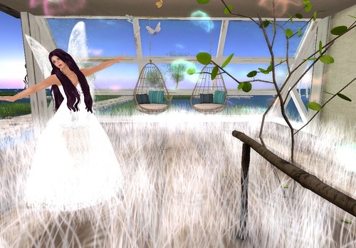 Web 55182728a73e214b08000001