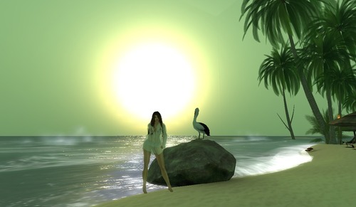 Web 581b1ce8e85cda4a69000001