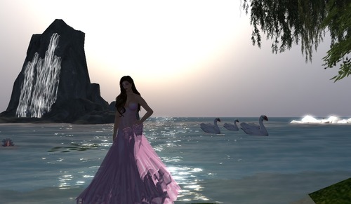 Web 581de7aeb015406900000001