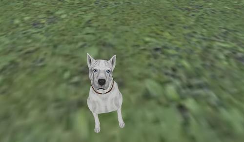 Web 59b8a0aad774f84f05000001