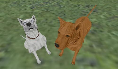 Web 59b8a1c1d774f85549000001