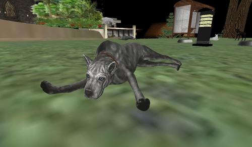 Web 59b8a272289dd220fb000001