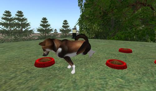 Web 59bf6938d9859c1e0d000001