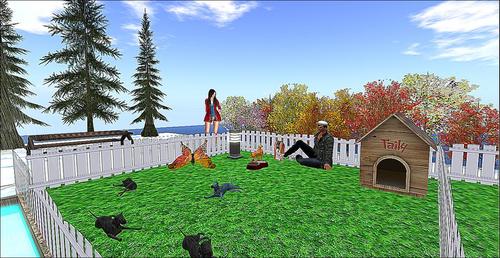 Web 5c4357e073ed17093c000001