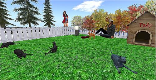 Web 5c4357ee73ed170ce7000001