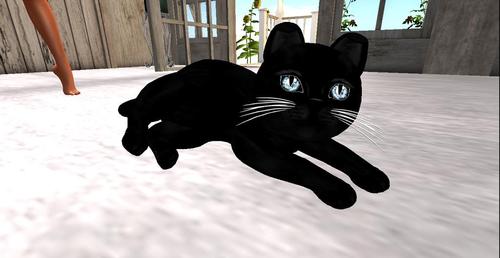 Web 5c4efa2a289dd26fa8000001