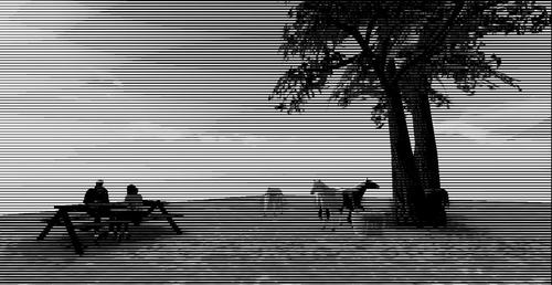 Web 5c8282b3d9859c7d4f000001