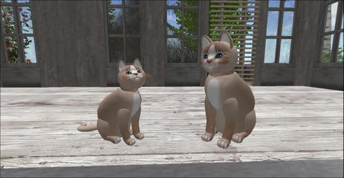 Web 5c83bdea73ed171b64000001