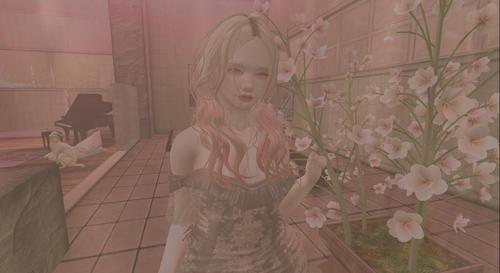 Web 5e970624289dd2129c39b0b8