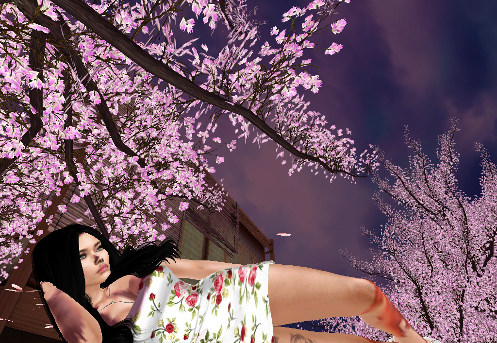 Original 5a76468a289dd2366f000001