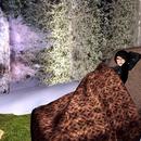 Thumb 59711f9173ed175858000001