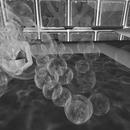 Thumb 5a82140cd774f8513f000001