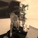 Thumb 5ab04b8fd774f872b2000001