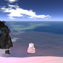 Thumb 635b4be4c62b26355a3f9b43