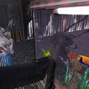 Thumb 65b441a2fb2fcd2feb42f217