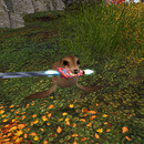 Thumb 674ff6e6018f031b90d3637d