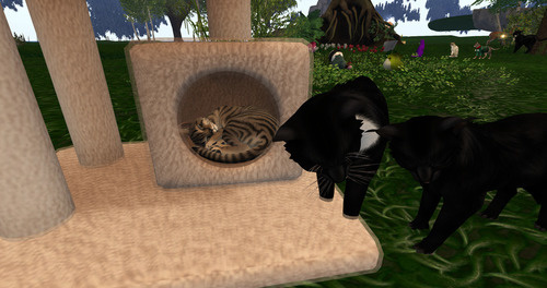 Web 639e9fd22b507062033e04f8