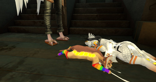 Web 63ae976b32df29215469c751