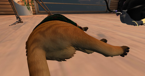 Web 63bfdd8439c0590baa0d9dcb