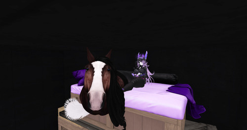 Web 63c6c423beaa35783178a98f