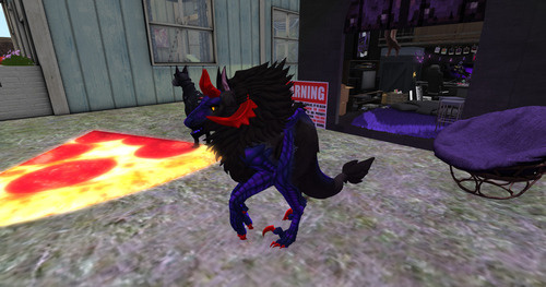 Web 6597d8245836cb29c2007bdf