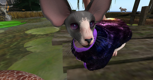 Web 65a6c768fa0f9e0accd90889